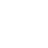 Shield half Icon